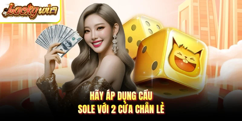 Hãy áp dụng cầu sole với 2 cửa chẵn lẻ