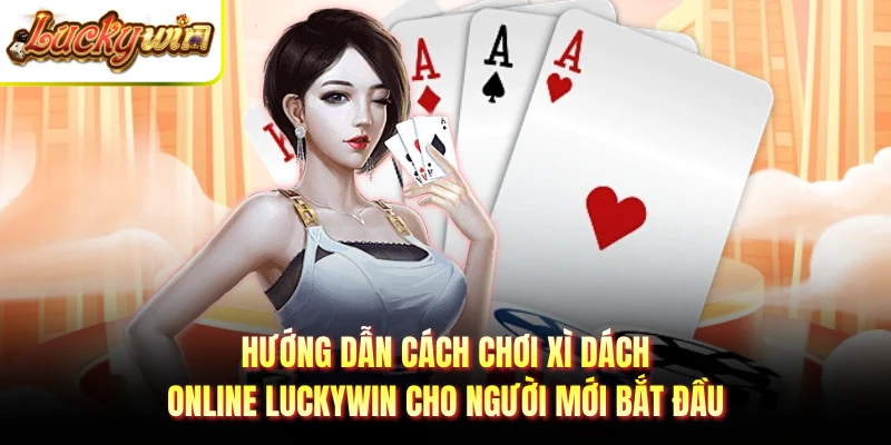 Hướng dẫn cách chơi xì dách online LUCKYWIN cho người mới bắt đầu