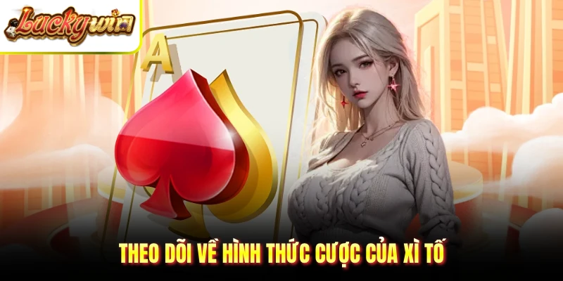 Theo dõi về hình thức cược của xì tố